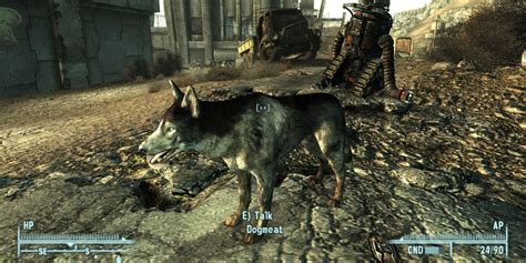 fallout 3 dogmeat disappeared|why can't i find dogmeat.